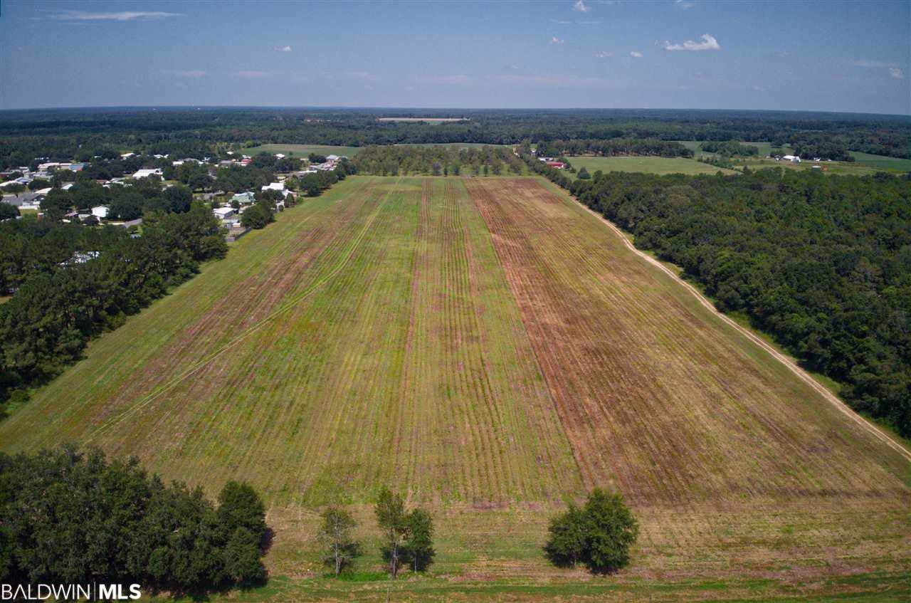 14389 County Road 28 - Photo 1