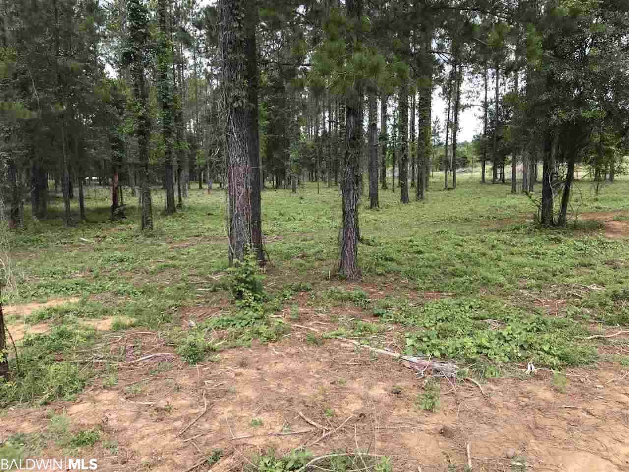 29191-A Burbon Lane - Photo 1