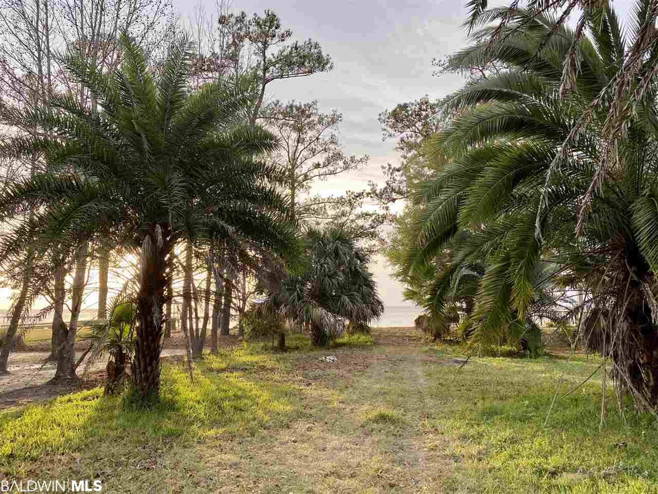 24283 Bay Shore Drive - Photo 1