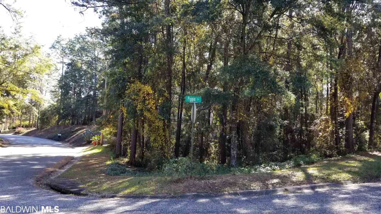 101 Pippin Cir - Photo 1