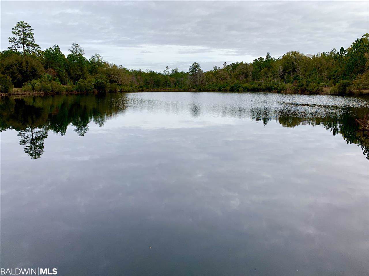 0 Old Ganey Rd - Photo 1