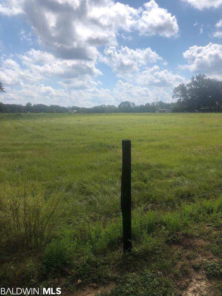 0 Bee Gum Rd - Photo 1