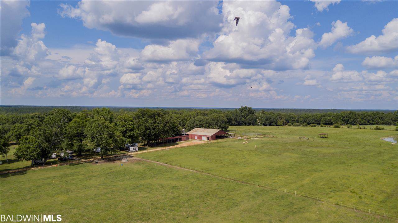 17188 Bee Gum Rd - Photo 1