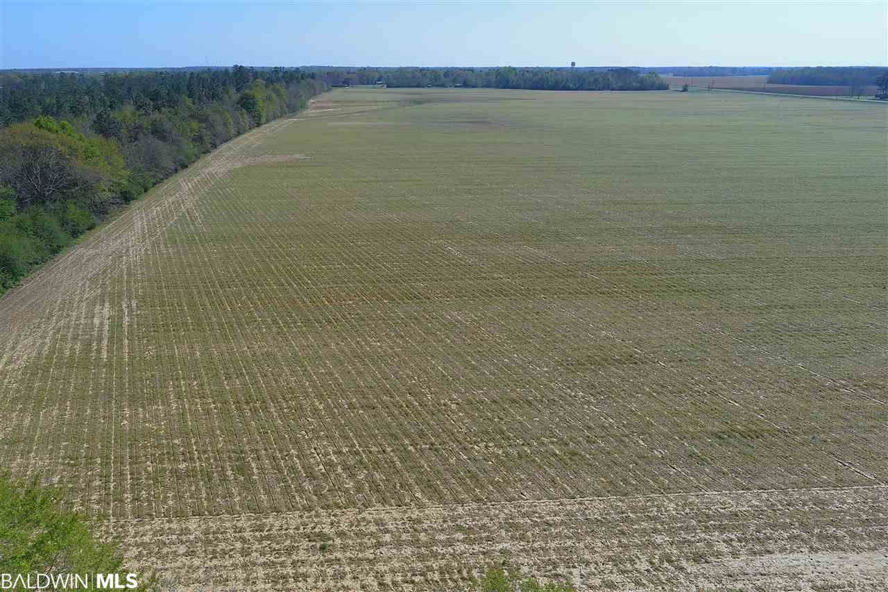 7140 Highway 99 - Photo 1