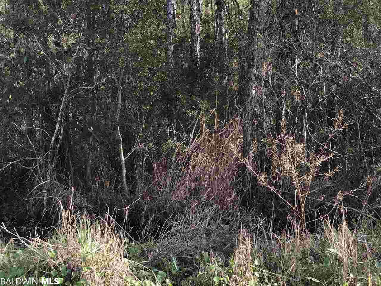 0 Riverside Drive - Photo 1