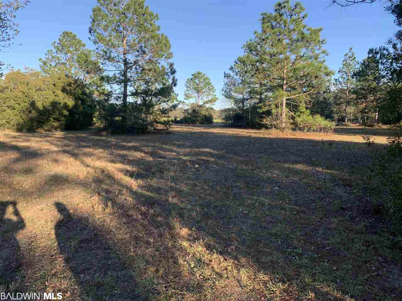 0 County Road 97 - Photo 1 0 County Road 97 - Photo 1