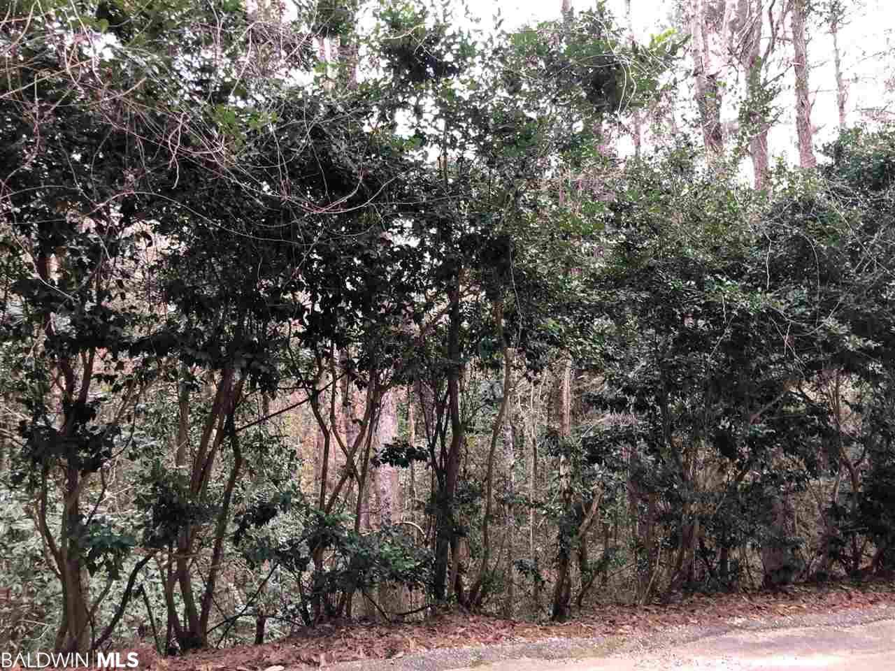 131 Donette Loop - Photo 1