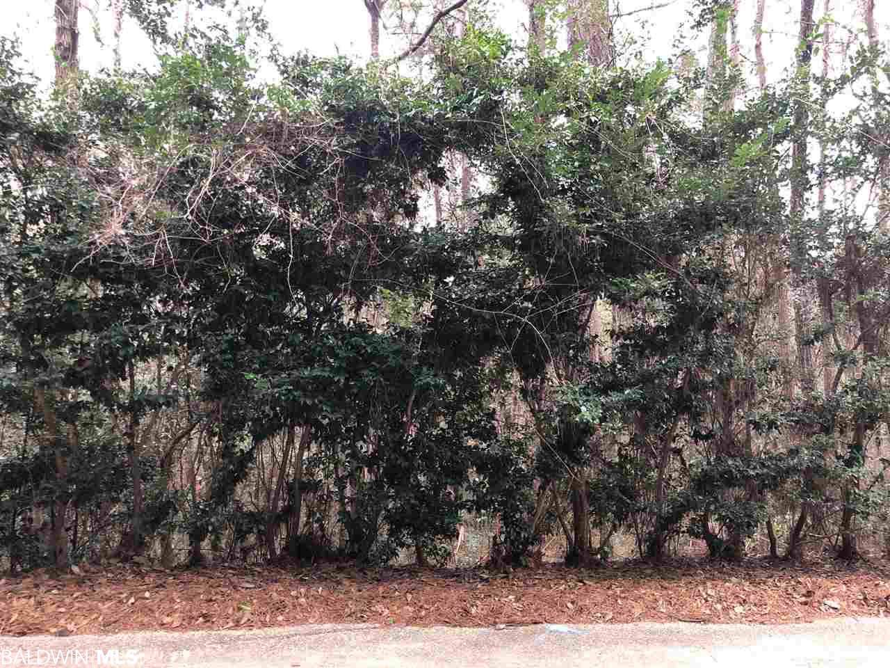 133 Donette Loop - Photo 1