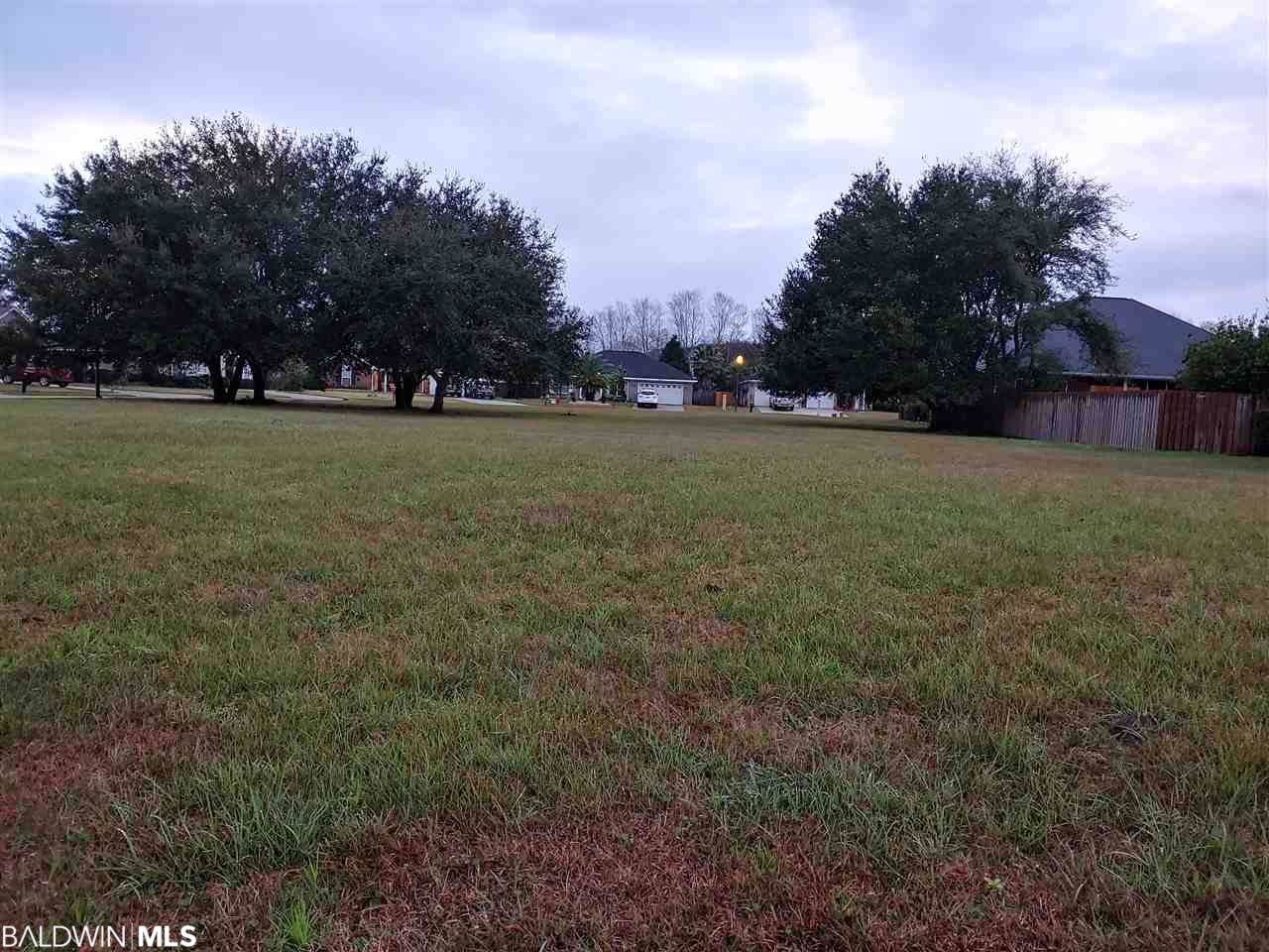 0 Ancient Oaks Circle - Photo 1