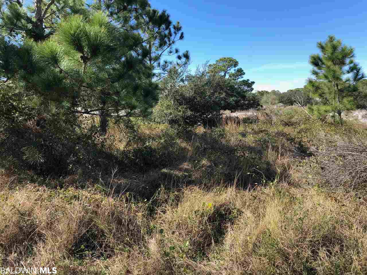 465 Breakers Lane - Photo 1