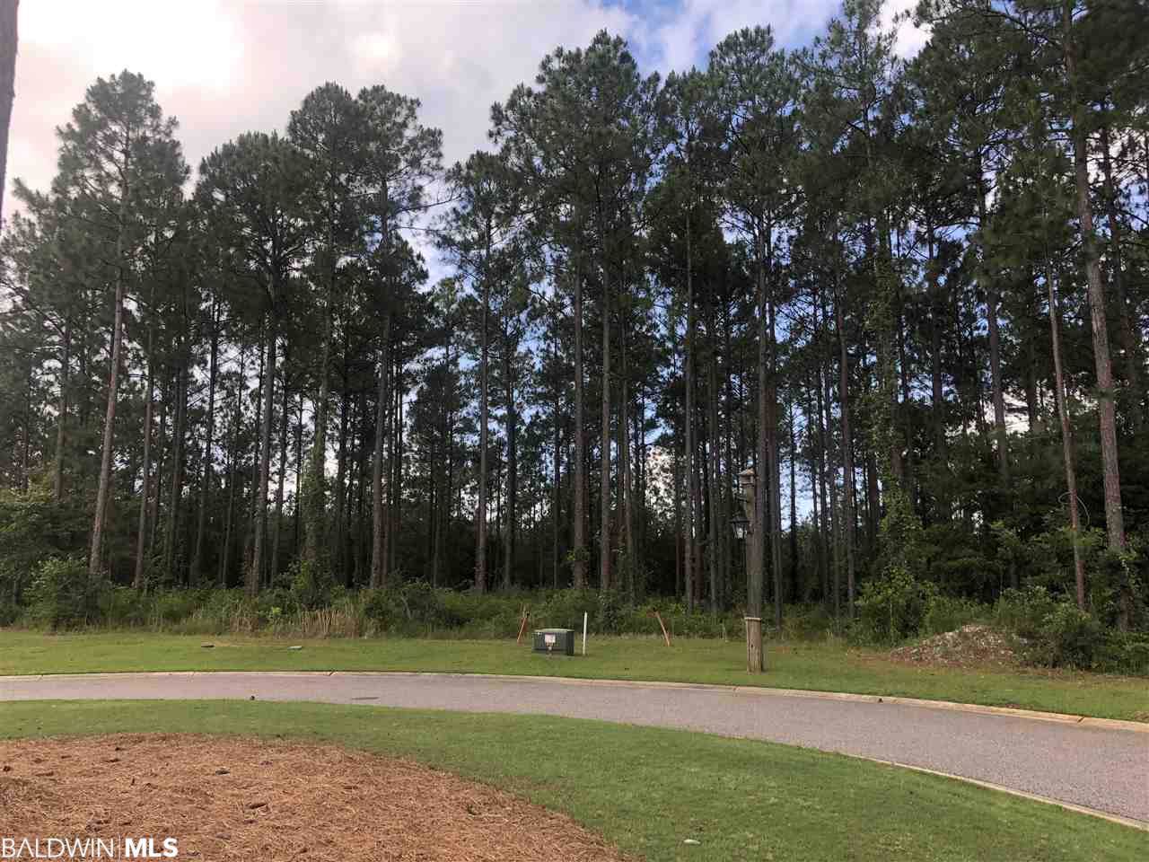 405 Sanctuary Cove - Photo 1
