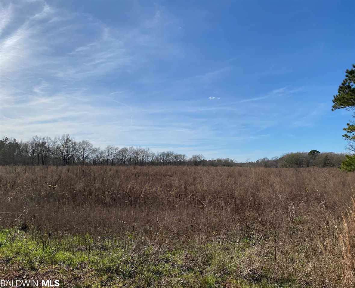0 Virginia Dr - Photo 1