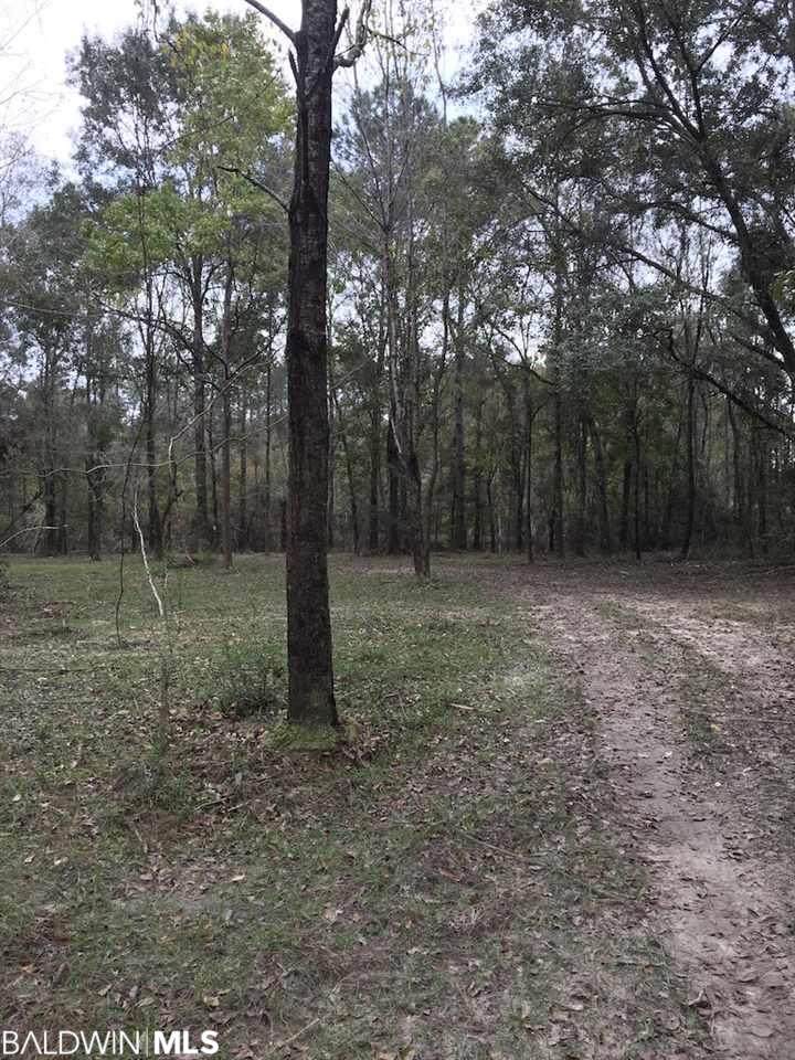 0 Old Brady Road - Photo 1