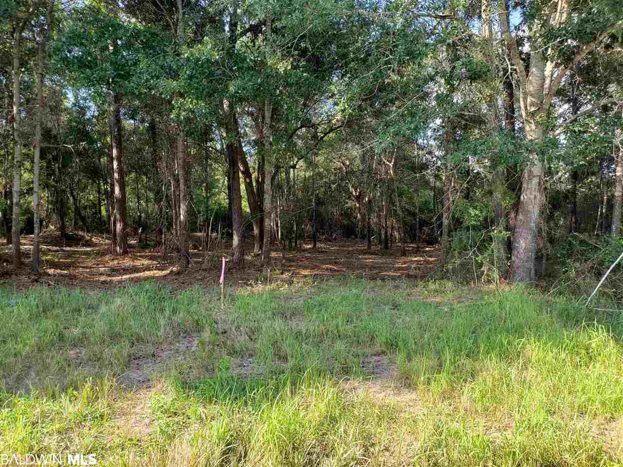 Lot 19 County Road 16 - Photo 1