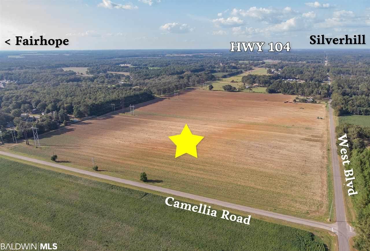0 Camellia Road - Photo 1