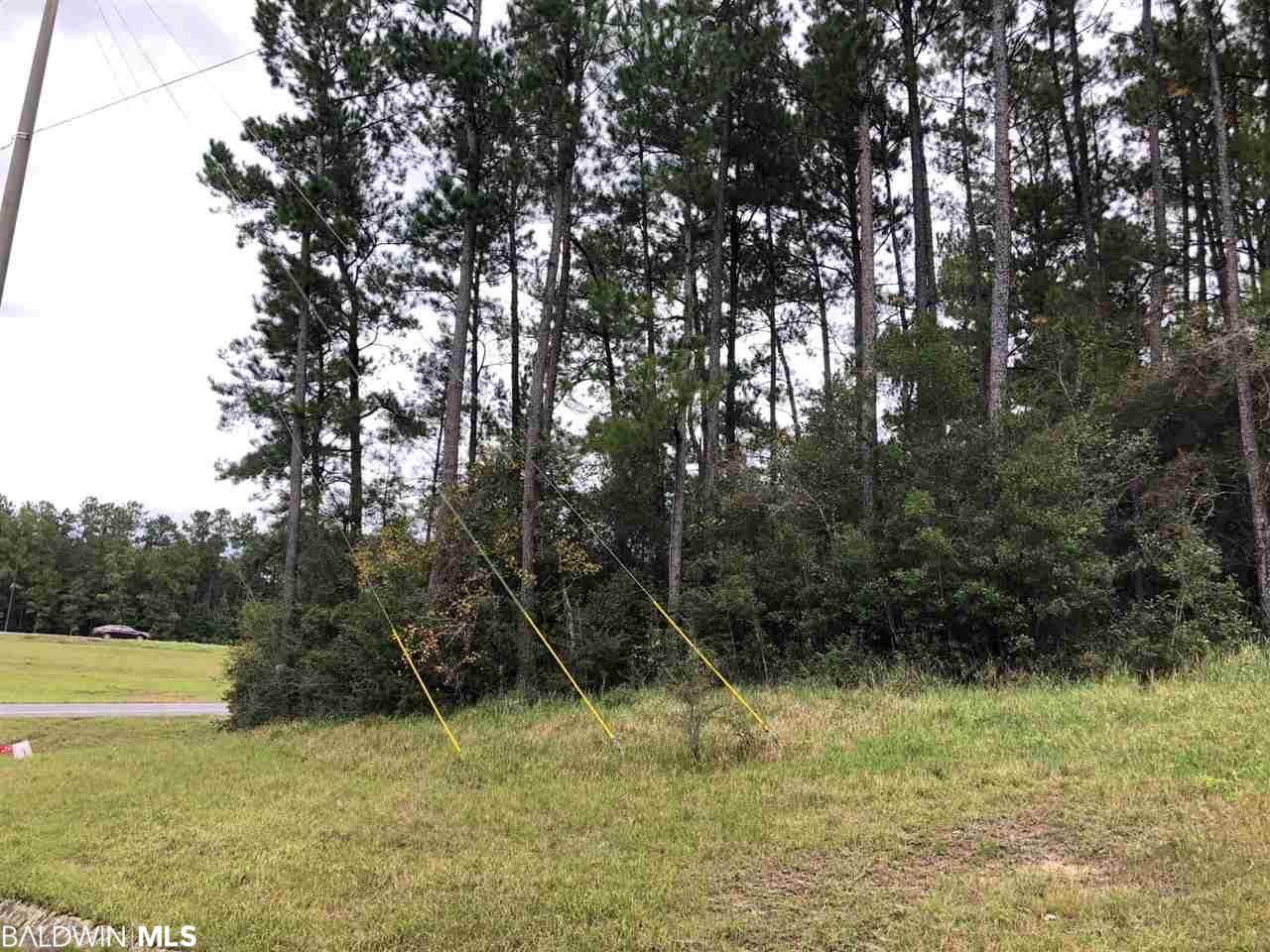 0 St Hwy 59 - Photo 1