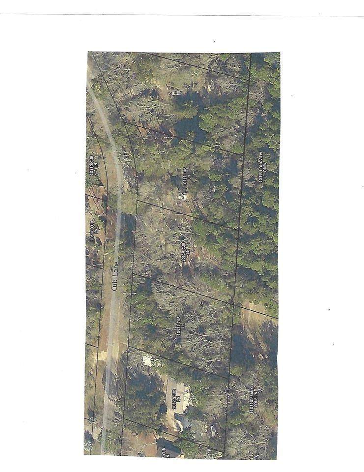 10521 Cub Ln - Photo 1