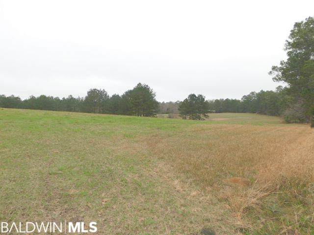 68000-A Blk Scranage Rd - Photo 1