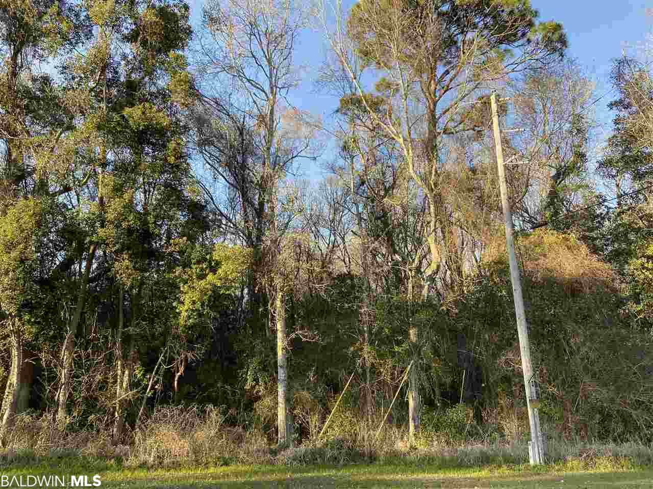 0 County Road 11 - Photo 1