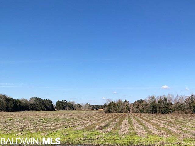 0 County Road 36 - Photo 1