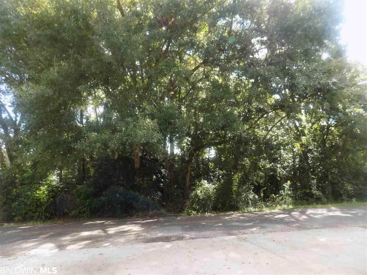 0 Riverwood Drive West - Photo 1