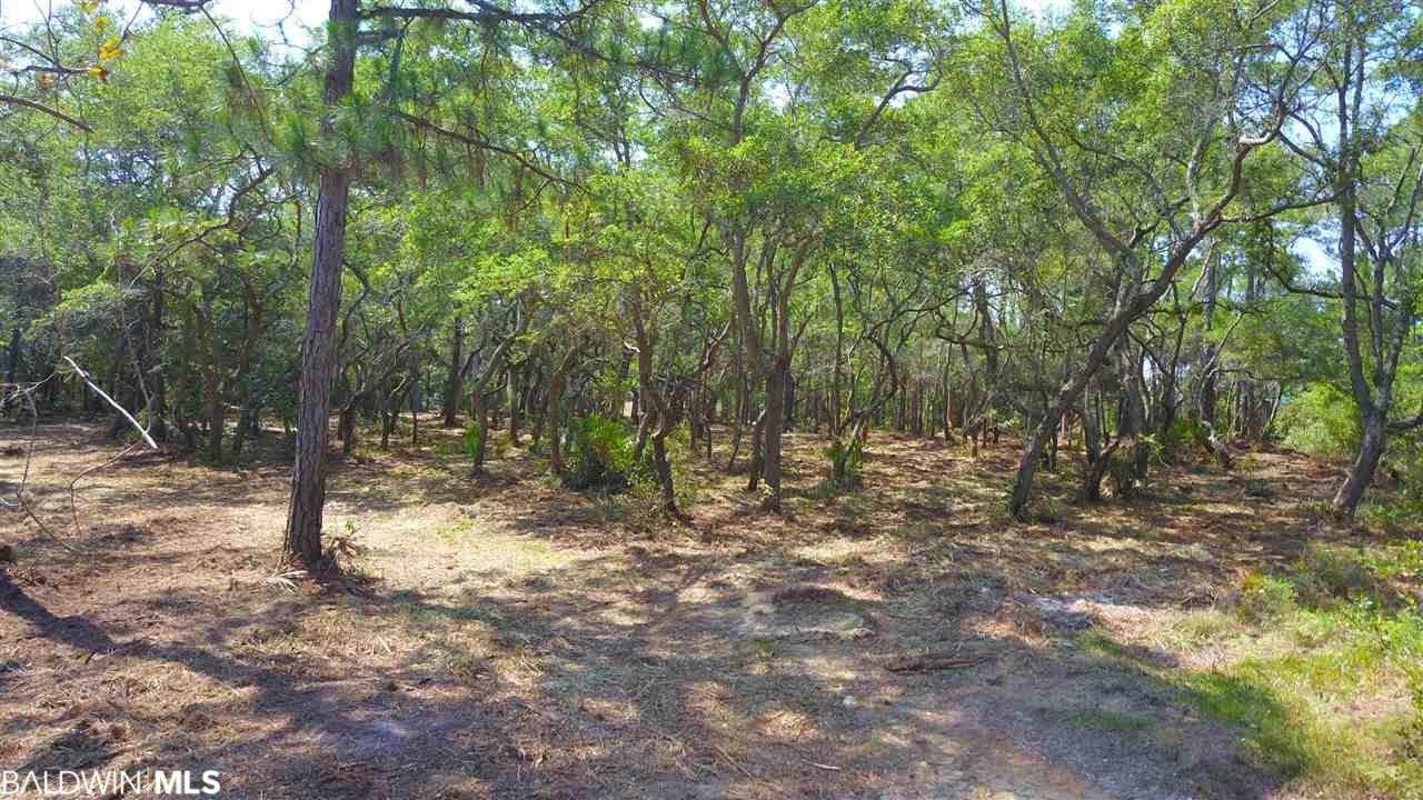 0 Fort Morgan Hwy - Photo 1