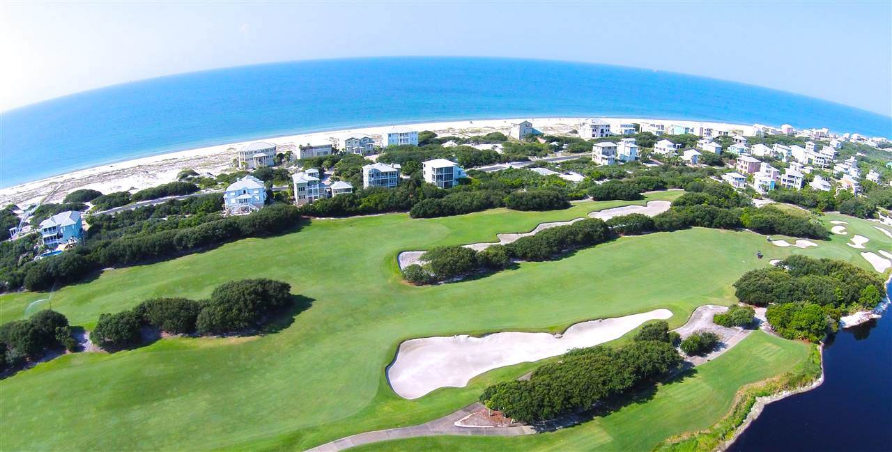 Blue Heron Cove - Photo 1