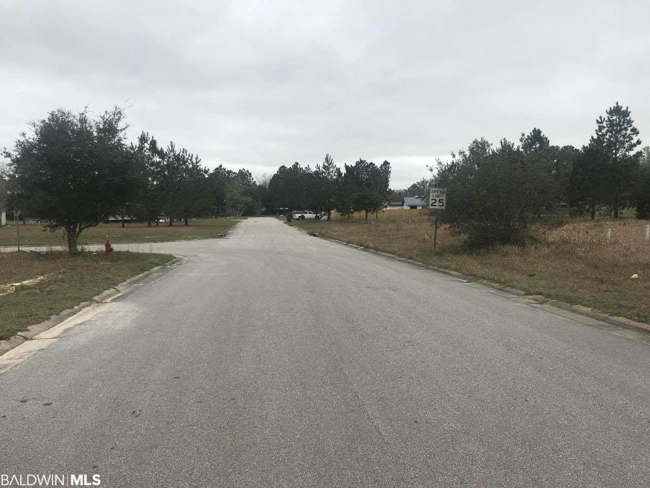 Lot 2 Cool Springs Drive - Photo 1