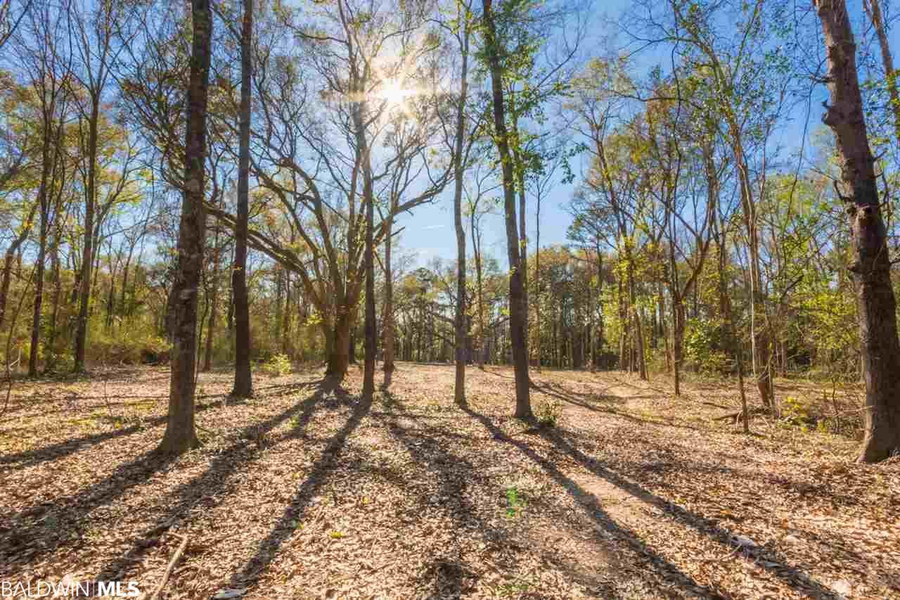 25923 Chene Trace - Photo 1