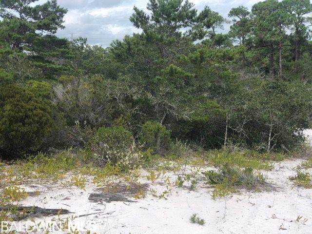 0 Highway 180 - Photo 1