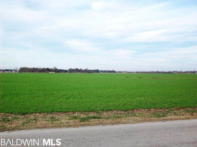 1700 BLk Highway 21 - Photo 1