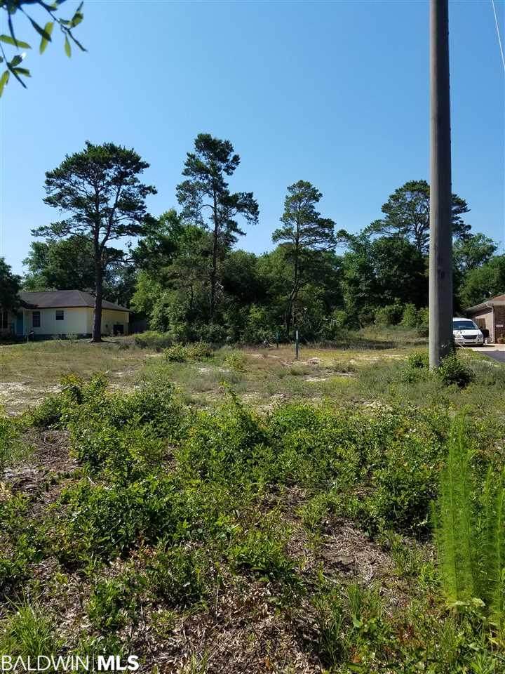 0 Ft Morgan Rd - Photo 1