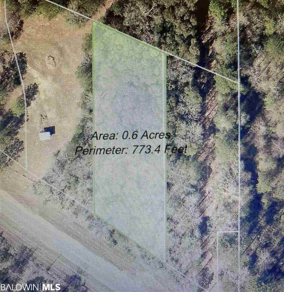 12240 Mason Ferry Rd - Photo 1