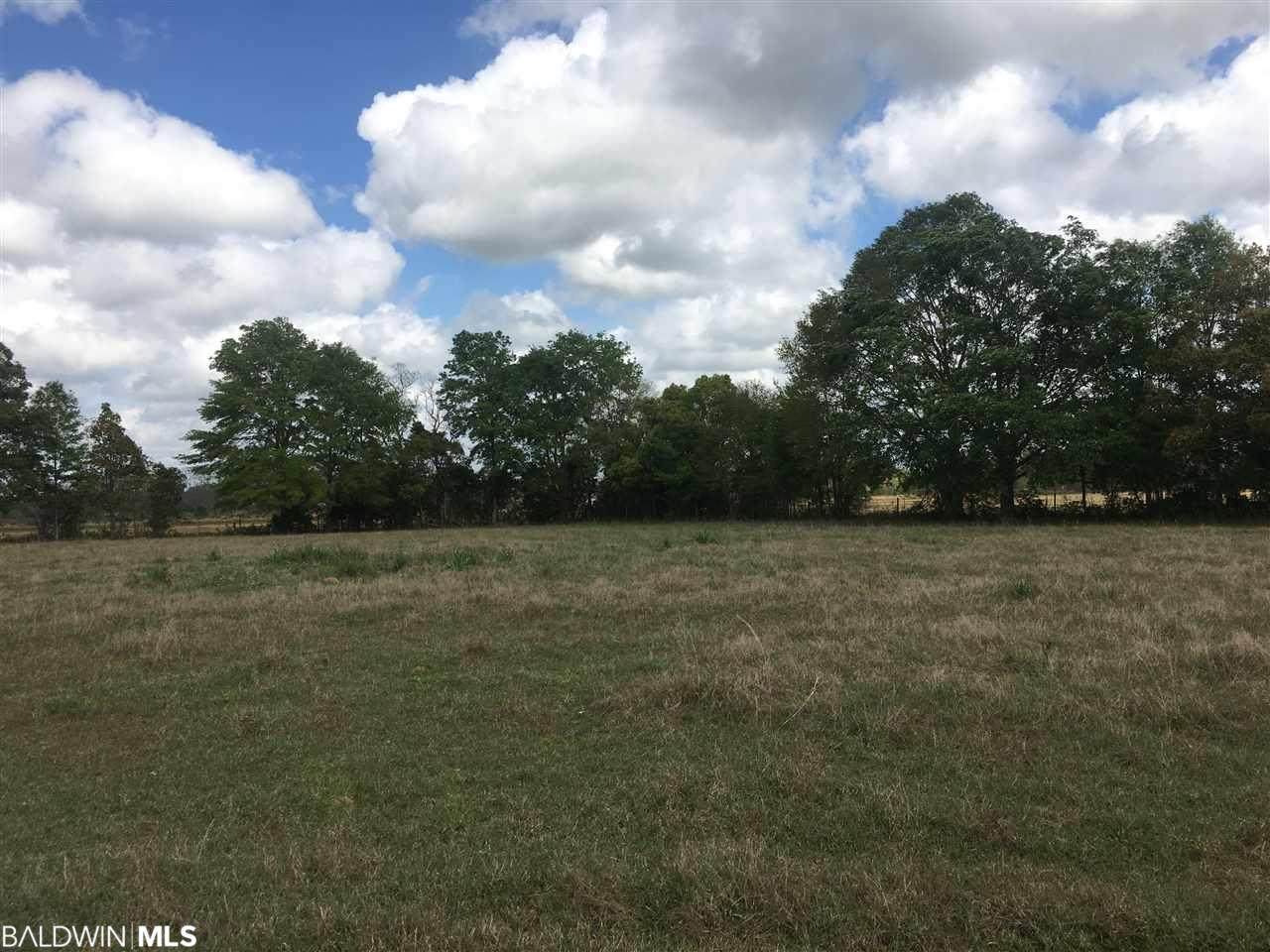 22490 County Road 62 - Photo 1