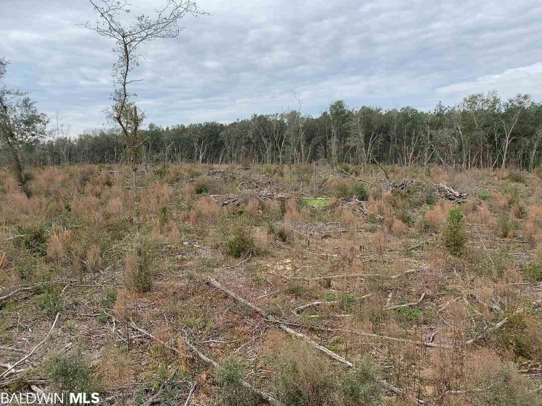0 County Road 49 - Photo 1