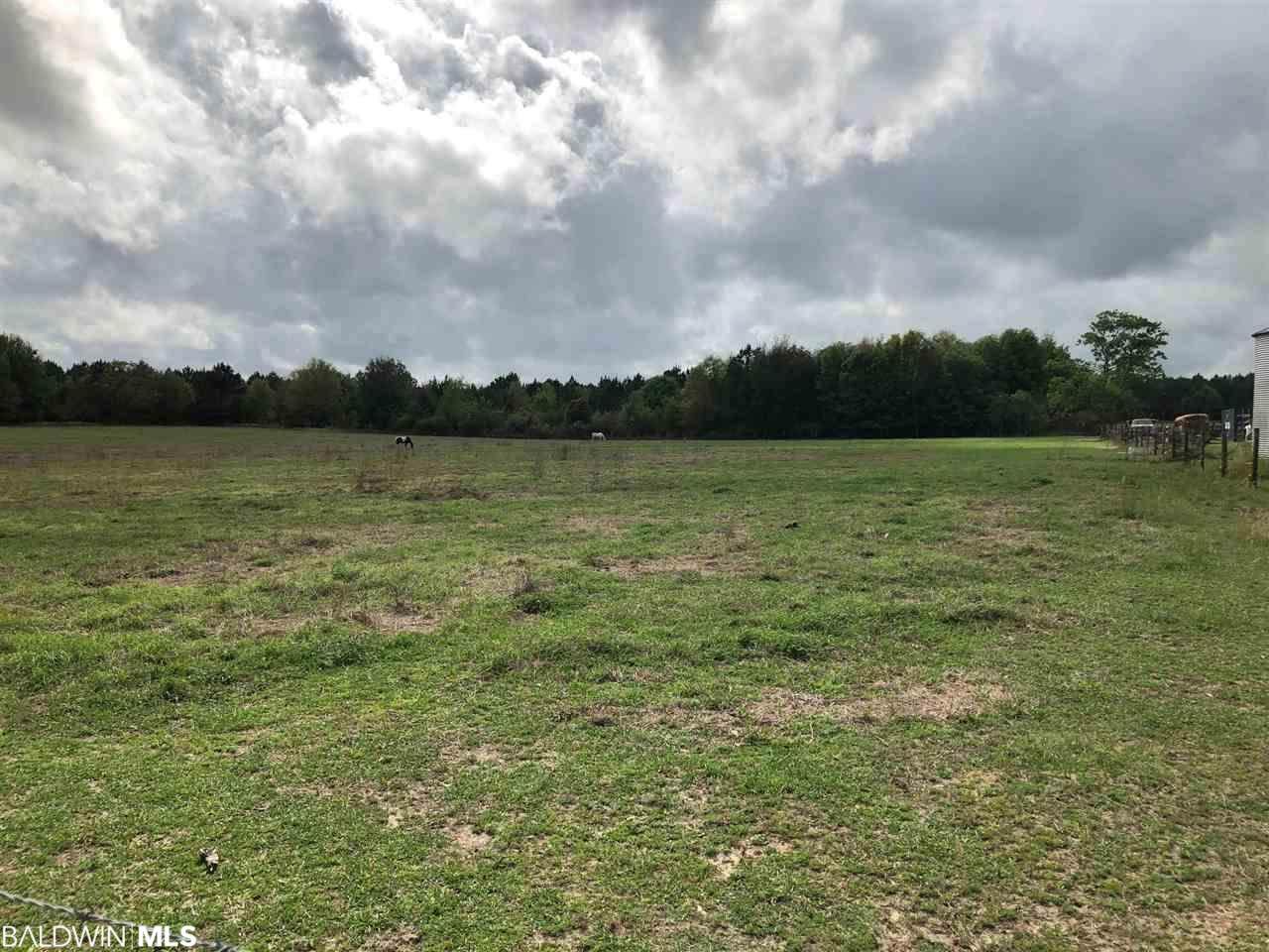 10341 County Road 91 - Photo 1