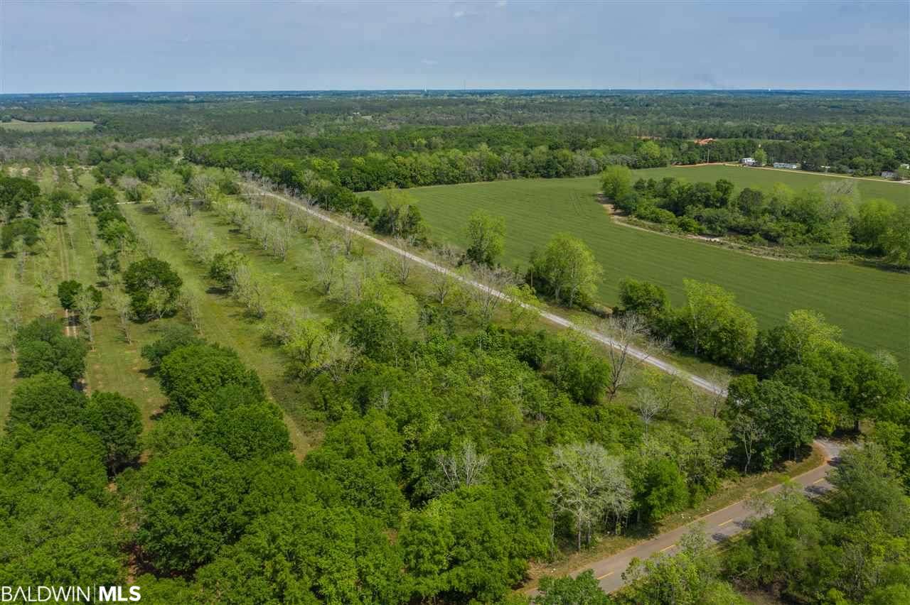 14271 Woodhaven Dairy Road - Photo 1 14271 Woodhaven Dairy Road - Photo 1