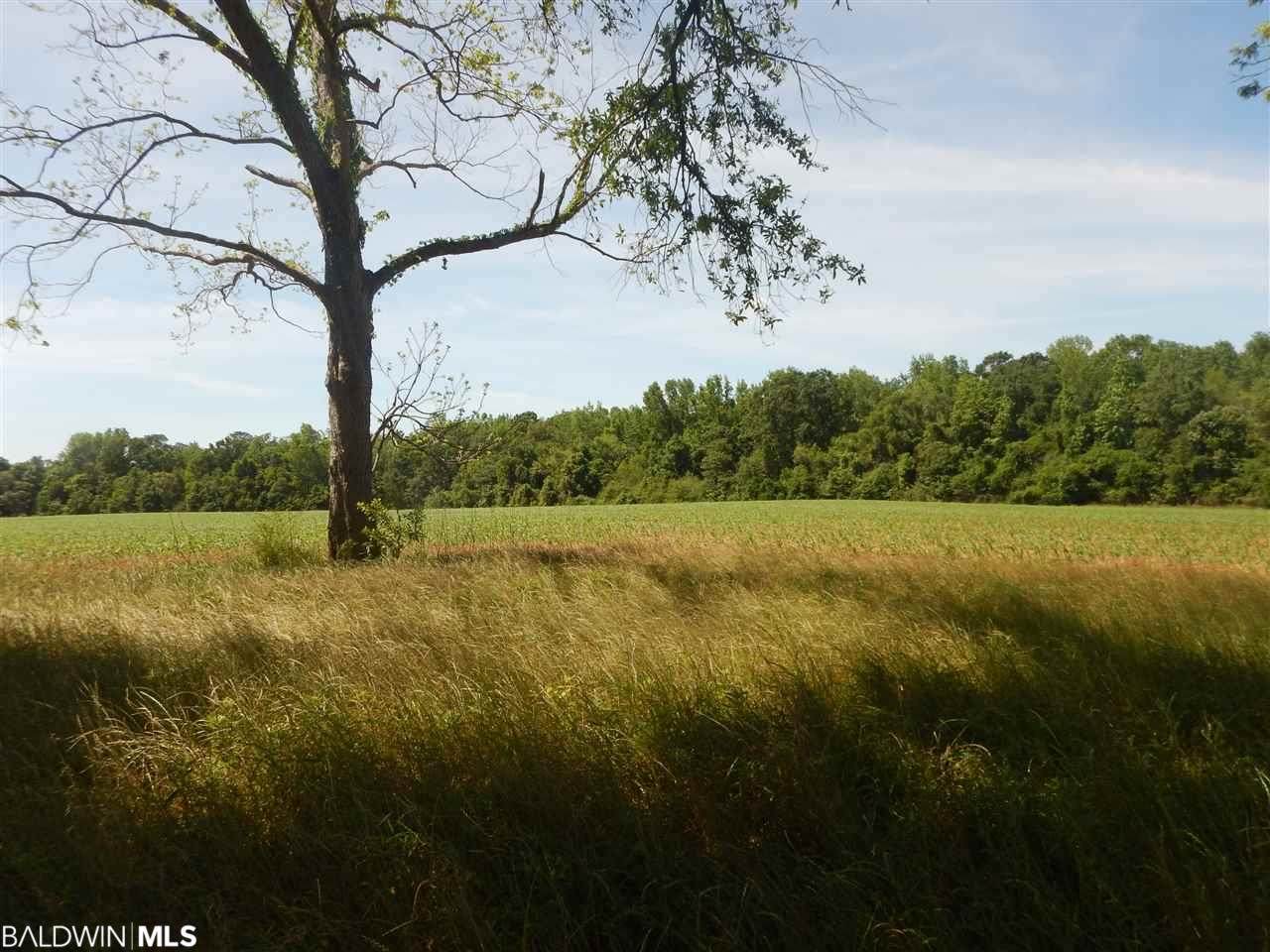 0 Fairhope Avenue - Photo 1 0 Fairhope Avenue - Photo 1