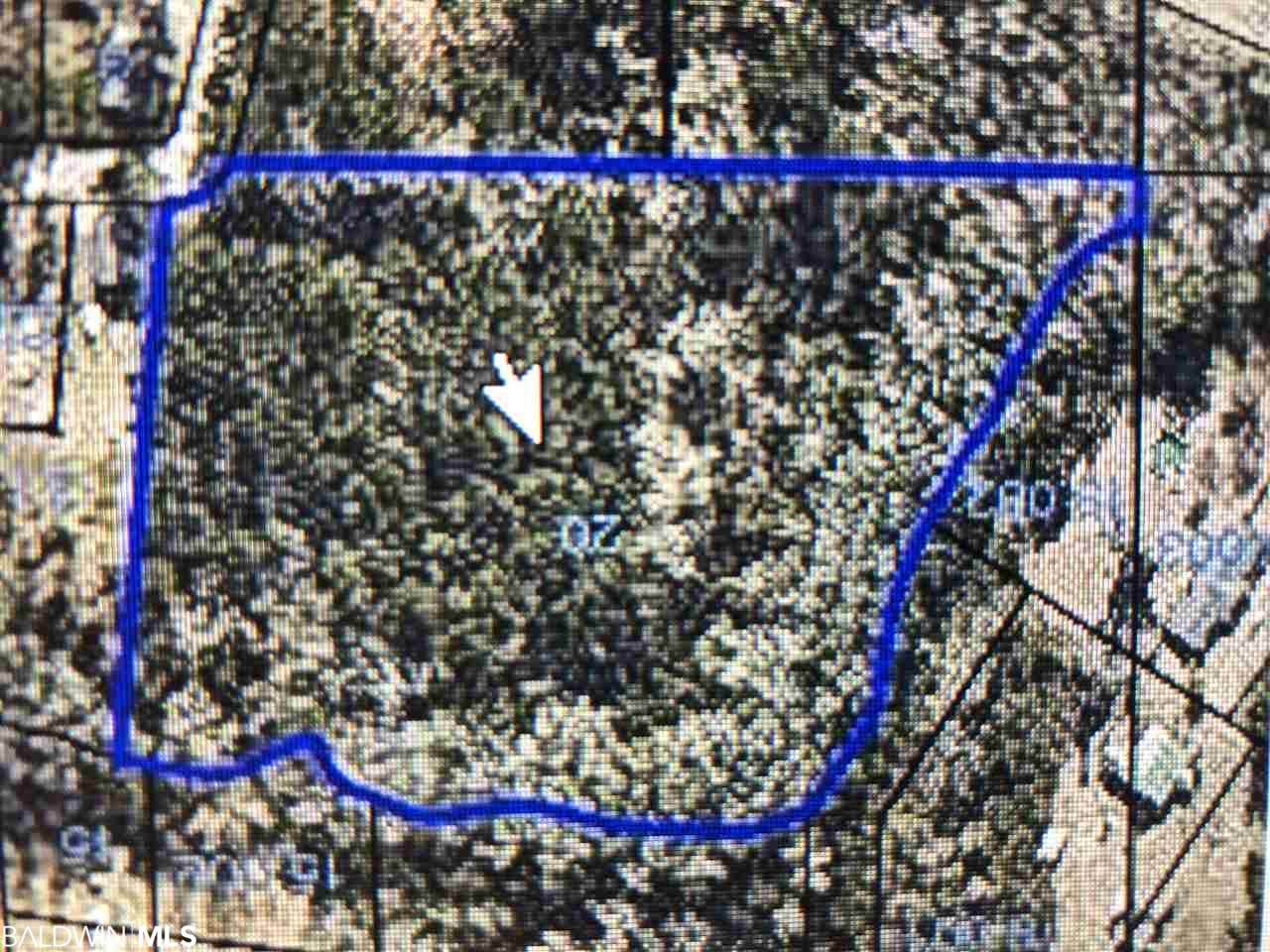 0 Cedar Hill Loop - Photo 1 0 Cedar Hill Loop - Photo 1