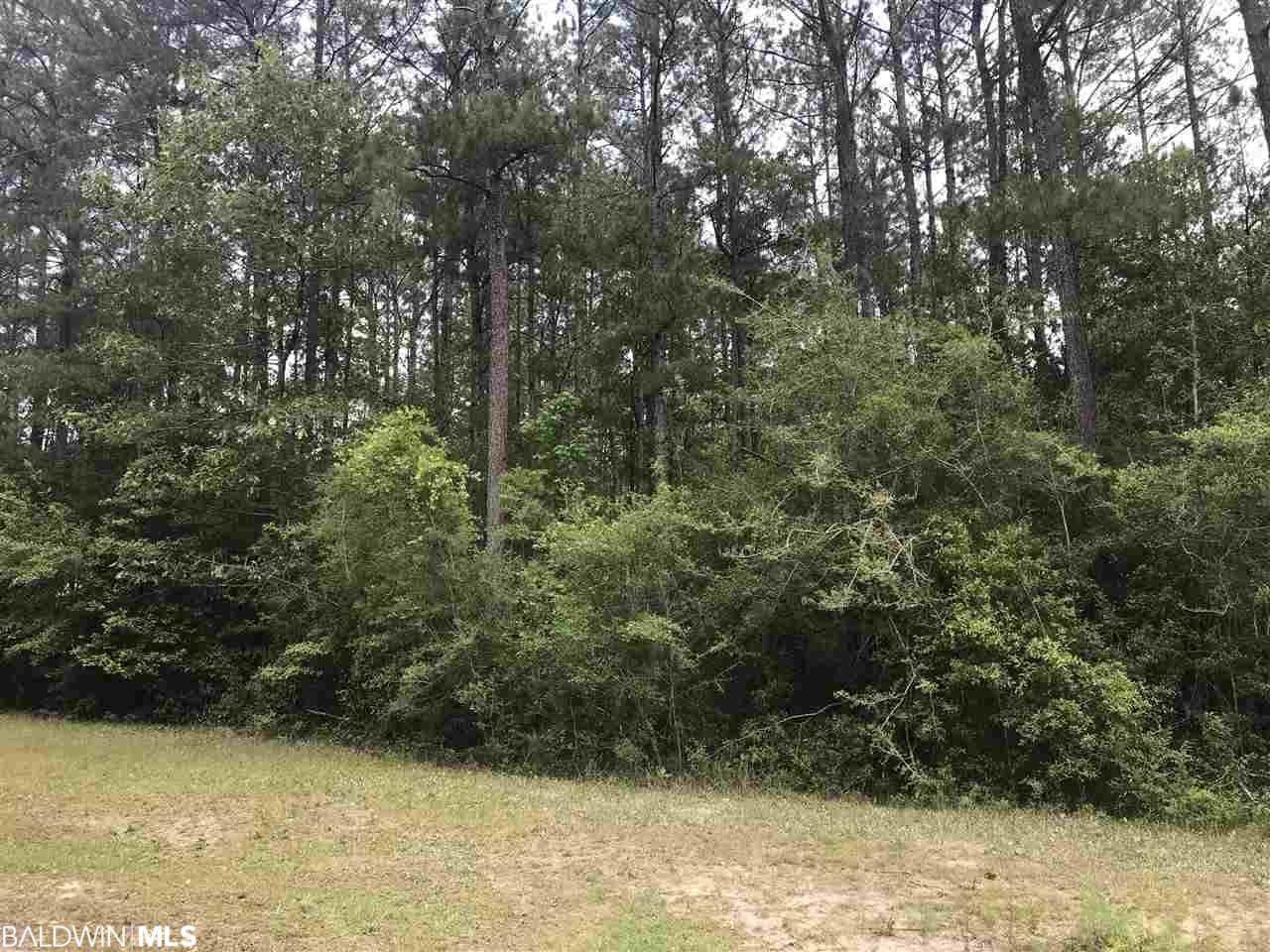 0 Flat Creek Drive - Photo 1