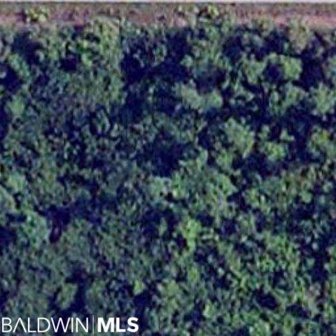 0 Dogwood Rd - Photo 1