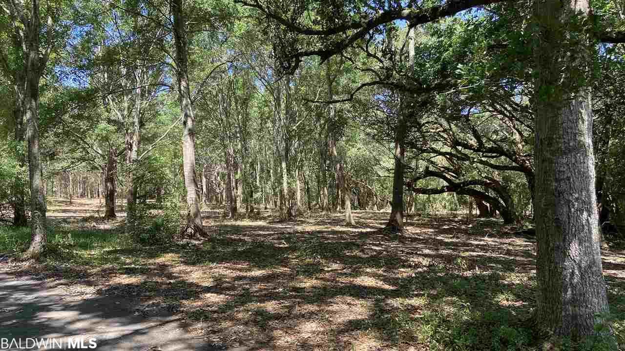 0 Boothe Road - Photo 1 0 Boothe Road - Photo 1