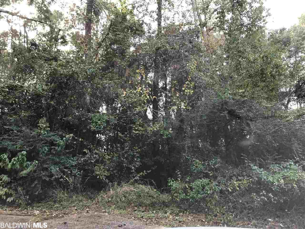 106 Victor Cir - Photo 1