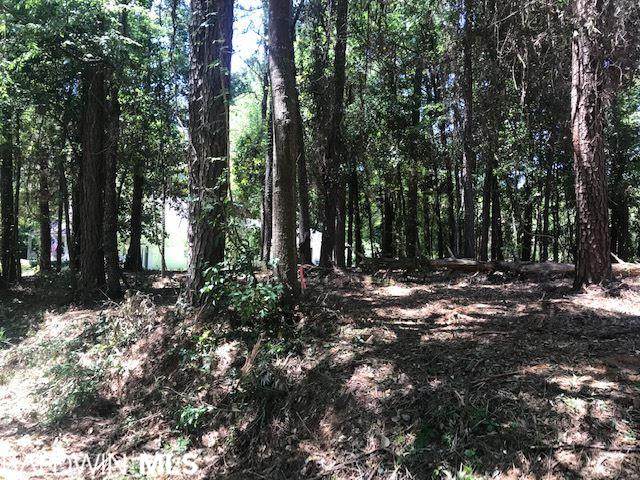 0 Magnolia Avenue - Photo 1 0 Magnolia Avenue - Photo 1