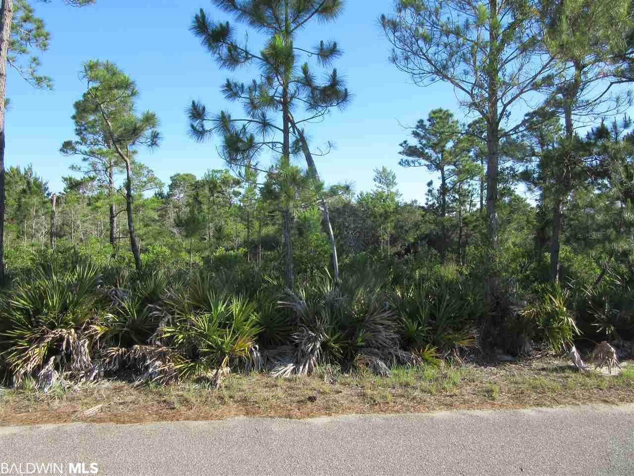 Palmetto Dr - Photo 1 Palmetto Dr - Photo 1