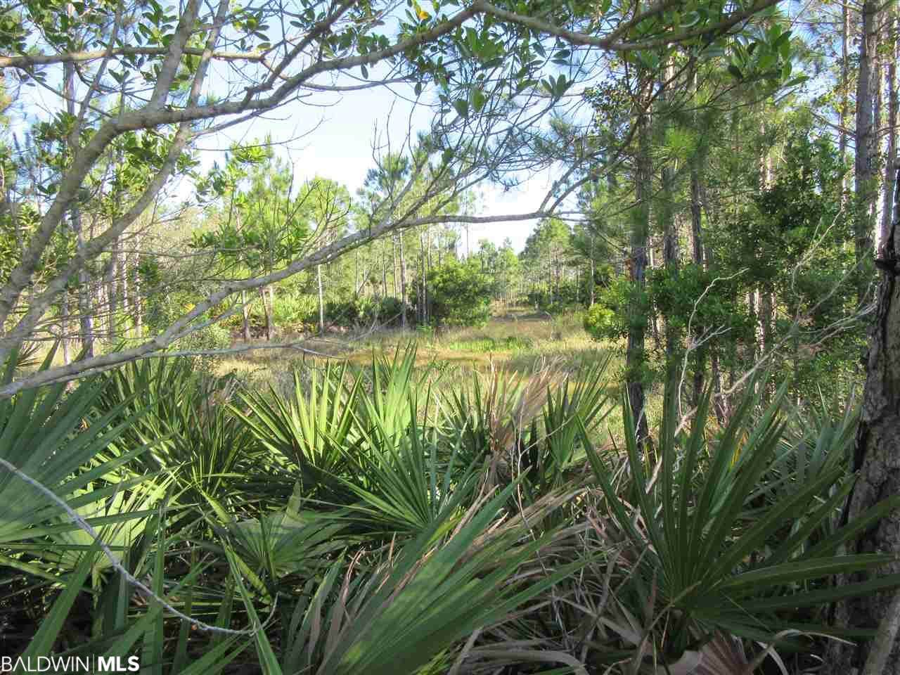 Palmetto Dr - Photo 1