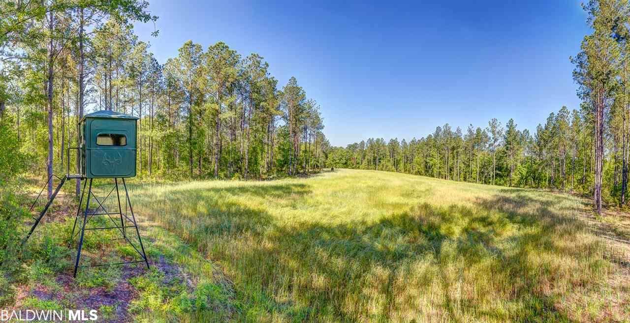 5348 Foshee Rd - Photo 1