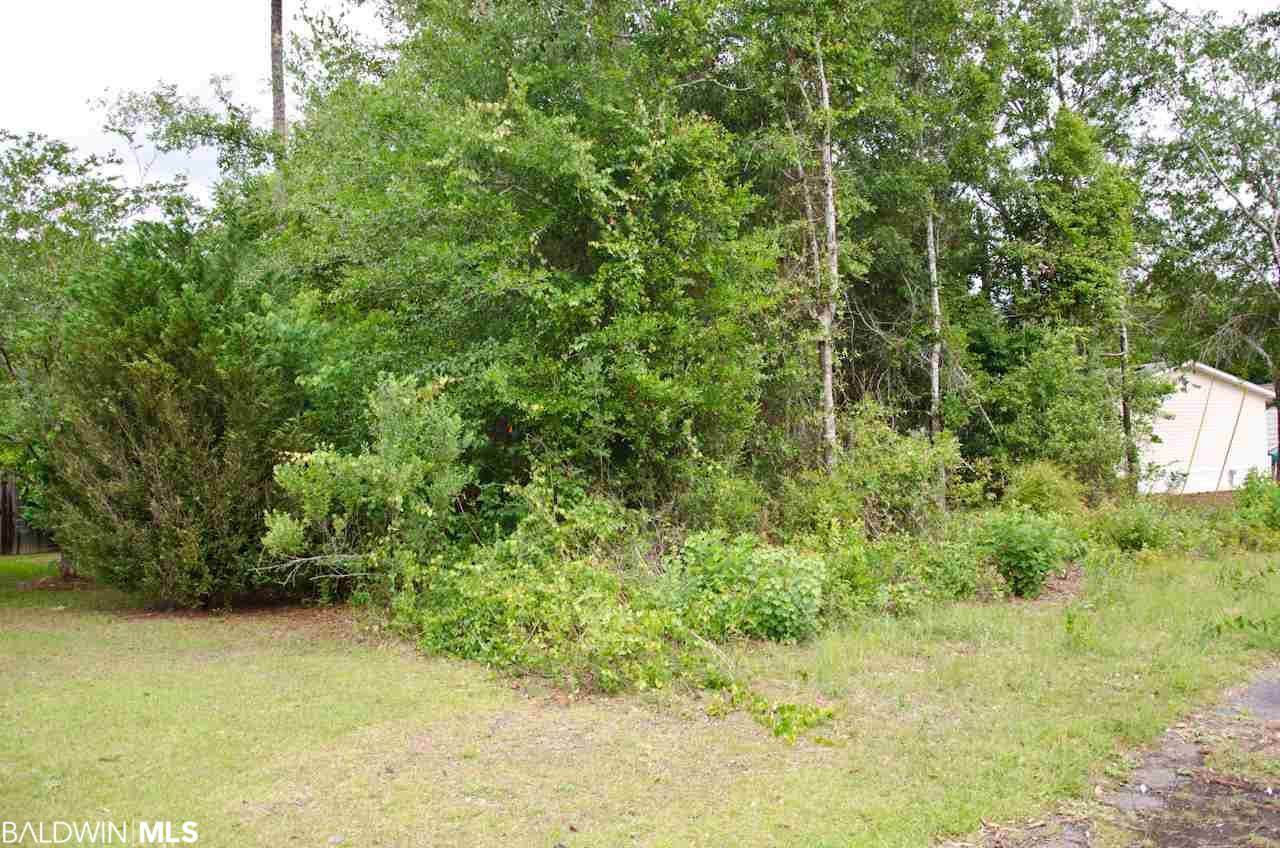 1633 Matias Dr - Photo 1 1633 Matias Dr - Photo 1