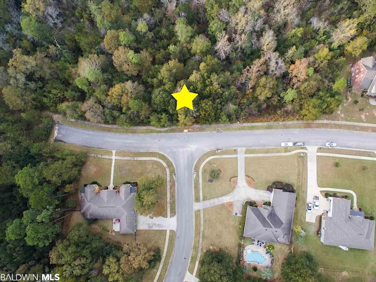 29924 D'olive Ridge - Photo 1