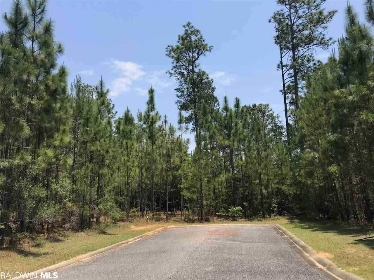 Lake Pointe Lane - Photo 1